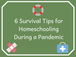 Read more about the article 6 Survival Tips for Homeschooling During a Pandemic