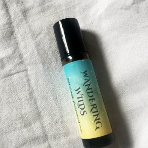 Enchanted Forest · Pumpkin Potion · Wandering Wilds · Botanical Burn — Therapeutic Grade Essential Oil Rollers | Cozy Autumn Aromatherapy | Seasonal Self Care & Gift Set